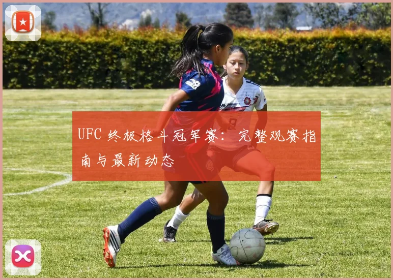 UFC 终极格斗冠军赛:完整观赛指南与最新动态