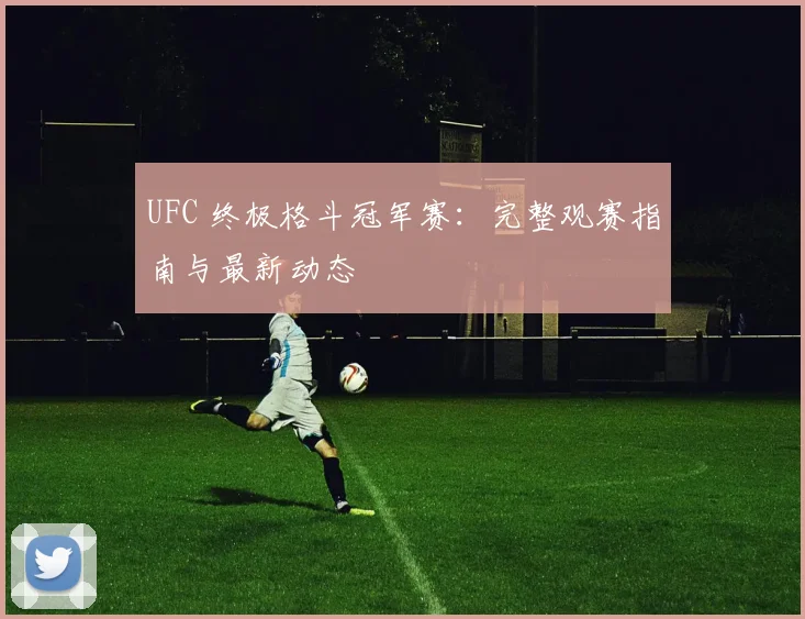 UFC 终极格斗冠军赛：完整观赛指南与最新动态